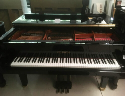 Pianoforte a coda Feurich 161 silent