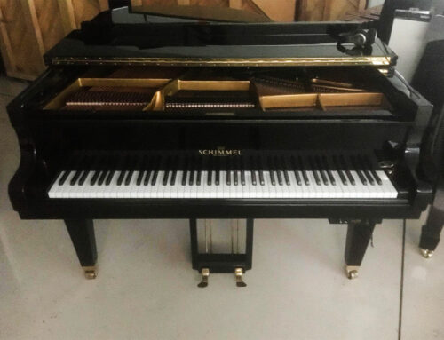 Pianoforte a coda Schimmel 174 nero